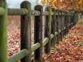 The Latest Posts by our Aussie Writers