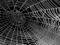 Australian Internet Links & Directories